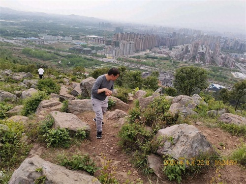 野生蕨菜怎么炒好吃？