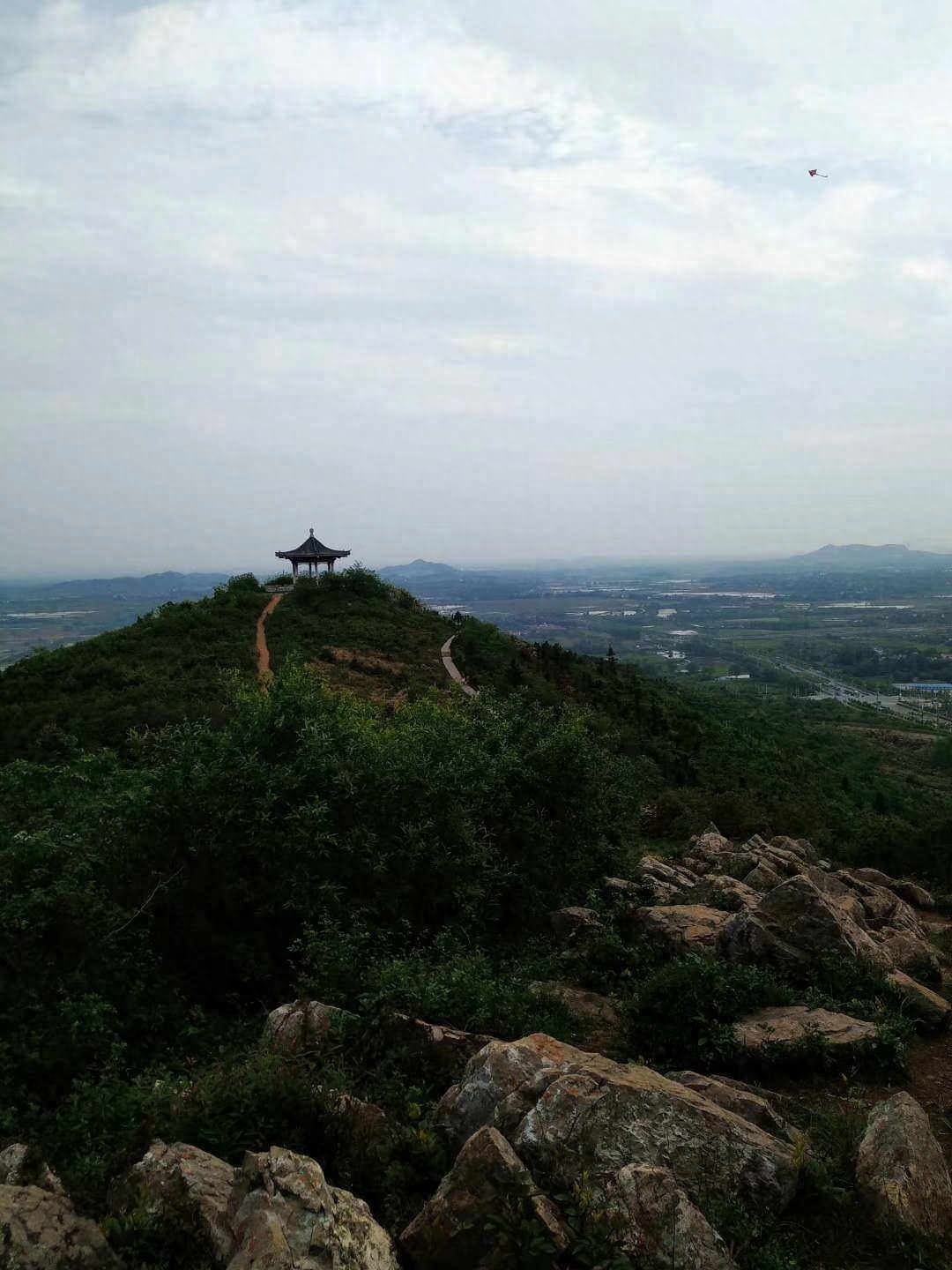 野生蕨菜怎么炒好吃？