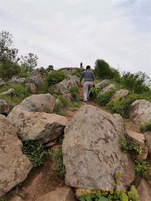 野生蕨菜怎么炒好吃？