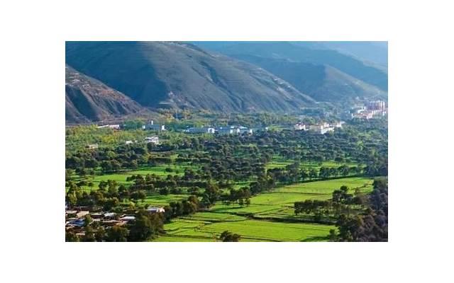 谈恋爱要不要天天联系 重要的是爱的体验