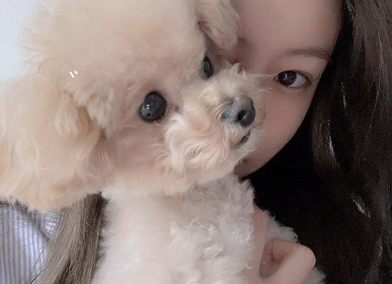 爱情唯美一句话签名 爱情唯美一句话签名