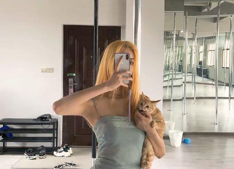 过多懂事，会被情伤；过多付出，会被人弃