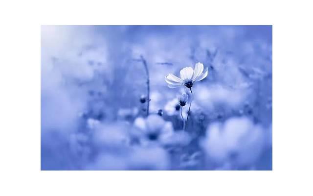 女性想要性爱有什么表现? 女性想要性爱有什么表现?