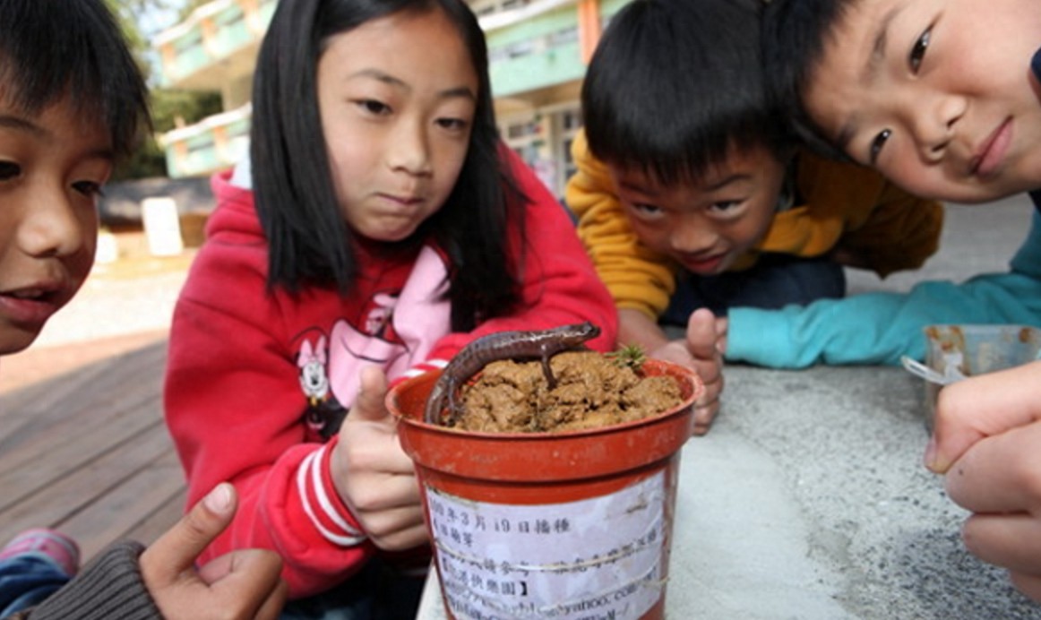 校长抓回一条“阿里山山椒鱼”，前肢有4指，后肢有5趾