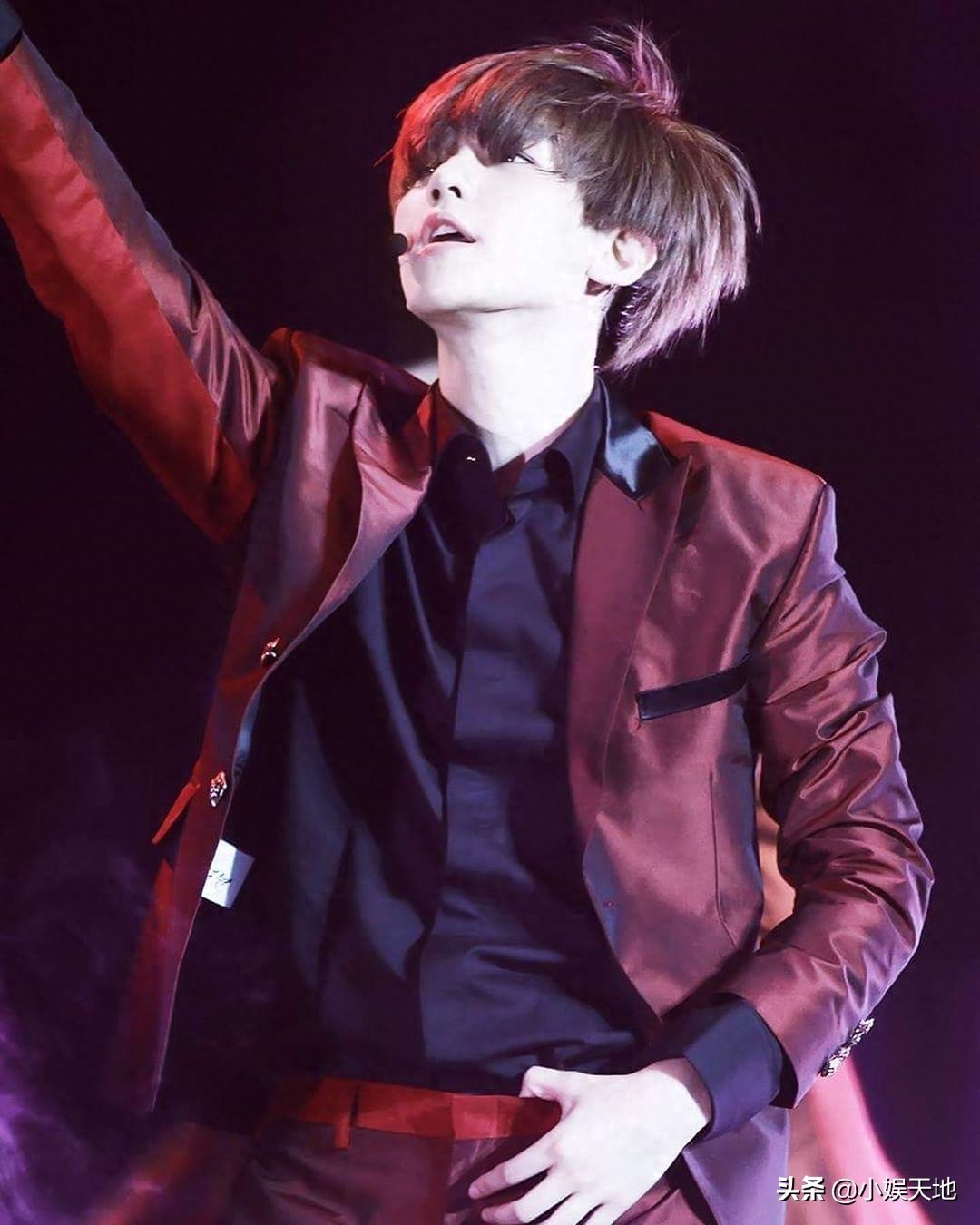 EXO伯贤图片合集，可可爱爱的啵啵虎，可盐可甜的阳光大男孩