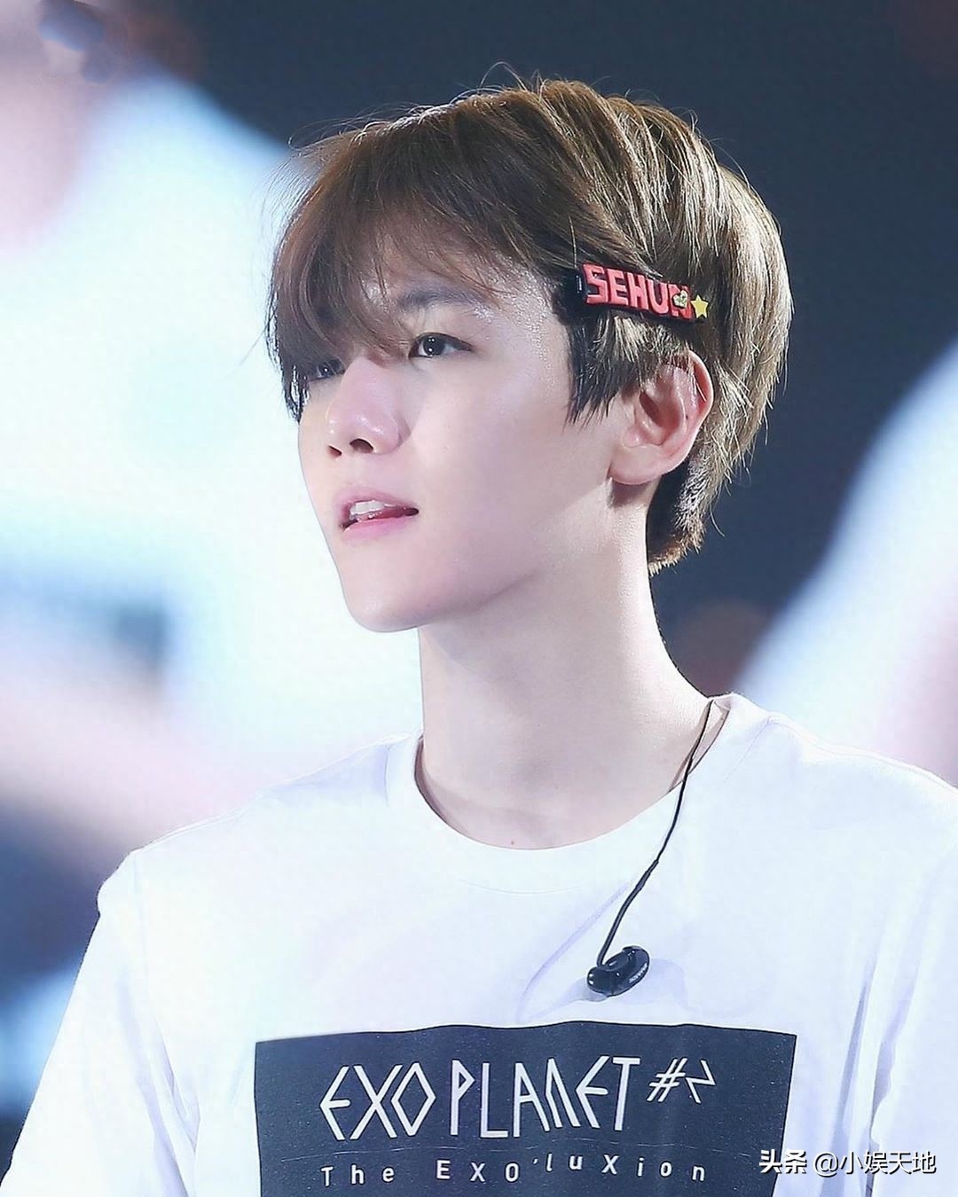 EXO伯贤图片合集，可可爱爱的啵啵虎，可盐可甜的阳光大男孩