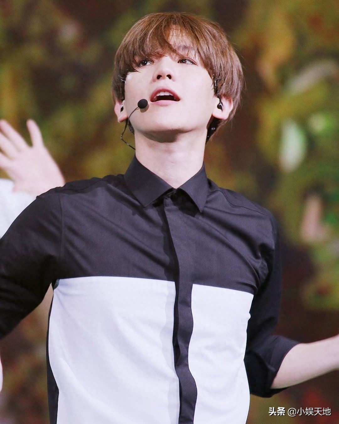 EXO伯贤图片合集，可可爱爱的啵啵虎，可盐可甜的阳光大男孩
